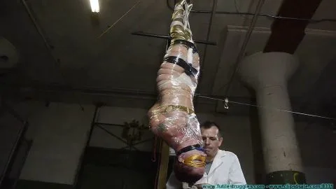 Futile Struggles FutileStruggles Fayth As The Golden Guardian Trapped Captured Stripped Hung Mummified Demasked Part 2 XXX 720p WMV hUSHhUSH