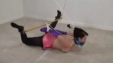 Quality Control SamHog