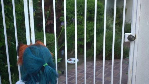 Boba Bitch Non NIP Fox Girl GFE with POV Blowjob