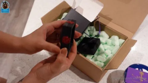 trainingzero trainingzero 2023 11 03 3070268004