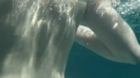 webgirl – 20yo Blonde Slim Outdoor Pool Underwater Nude Shoot