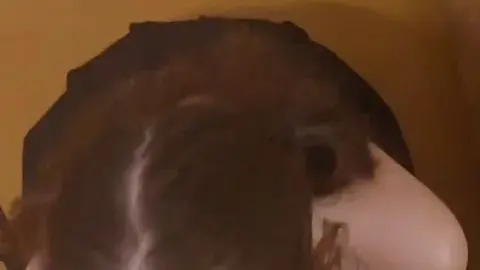 Fuck Toy E Roleplay #06 Slutty Student