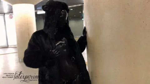 LateXperient H265 2018 01 21 Mizzgaza