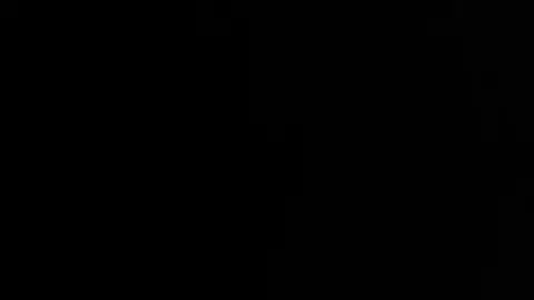 trainingzero trainingzero 2024 05 21 3328083765