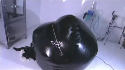 Gwen Media gwen media emily solo