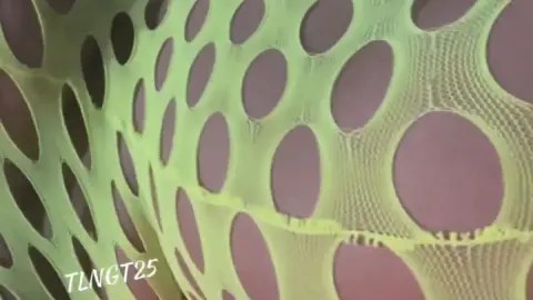 OnlyFans TanlinesNGoodTimes 2022-03-25 0h0mtw5j3fq1660o5u26j source