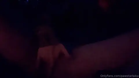 pawstarlaika – 131 Videos 559 Im pawstarlaika