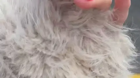 Slim redhead in white fur coat shows off red nails on sidewalk