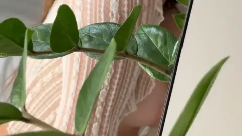 webgirl – OnlyFans SiteRip webgirl