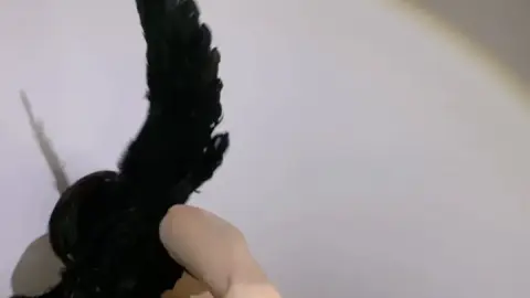 qiyizhongzi 0hovqtisz7rfh6qomv0om source