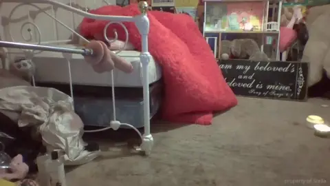 stellaaeternum stellaaeternum 2025 12 14 4196730077