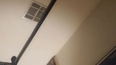 stellaaeternum stellaaeternum 2022 11 17 2683318783