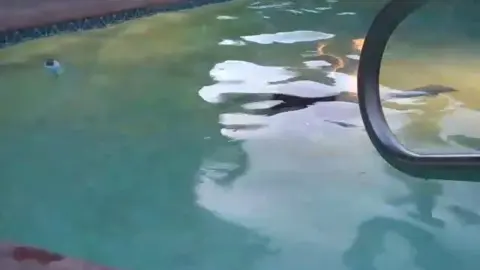 stellaaeternum stellaaeternum 2023 06 07 2898207410