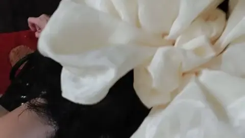 stellaaeternum stellaaeternum 2022 12 09 2711941987