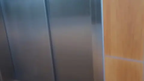 stellaaeternum stellaaeternum 2022 10 11 2635998157