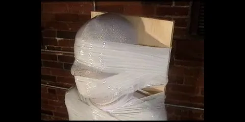 Quality Control cleowhitecat3