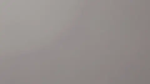 stellaaeternum stellaaeternum 2023 01 31 2759683352