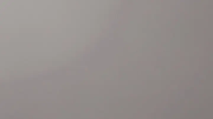 stellaaeternum stellaaeternum 2023 01 31 2759683352