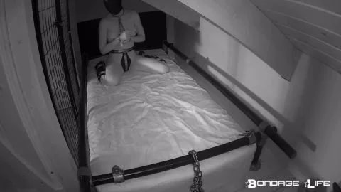 bondagelife 2020 livecam 04 18 2020 restless greyhound