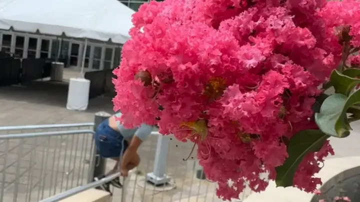 TanlinesNGoodTimes – OnlyFans Outdoor Foot Fetish Scene
