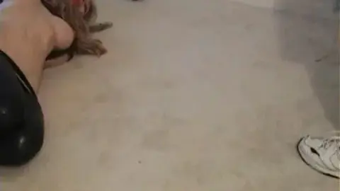 badmanvideos CandleBoxxxTheAbductionOfMsJones5