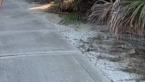 natalienightwolf – Natalie Nightwolf Outdoor Fuck