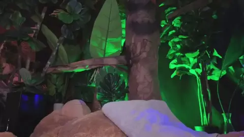 Cubbi Thompson CUBBIXOXO 2024 10 31 01 10 07