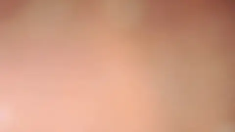 stellaaeternum stellaaeternum 2023 03 01 2790218898