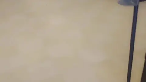 stellaaeternum stellaaeternum 2023 01 29 2758432177