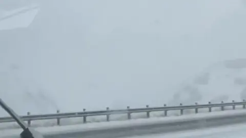 OnlyFans TanlinesNGoodTimes hevc 2021 12 10 0gx973is2xjq8c1z91n2d source