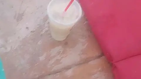 stellaaeternum stellaaeternum 2024 01 23 2528652586