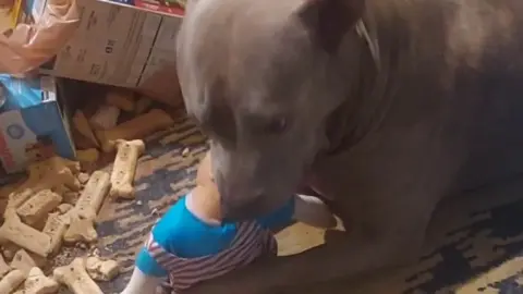 stellaaeternum stellaaeternum 2023 09 24 3026482946