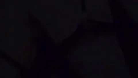 OnlyFans CuteLittleMilphy – Brunette with Glasses Fucked in Doggy