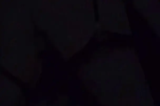 OnlyFans CuteLittleMilphy – Bruin met Bril Geneukt in Hondje