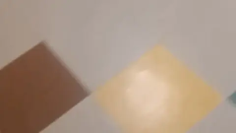 stellaaeternum stellaaeternum 2025 01 11 3642941719