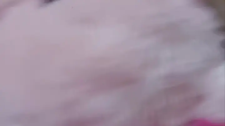 stellaaeternum stellaaeternum 2024 03 16 2684653742