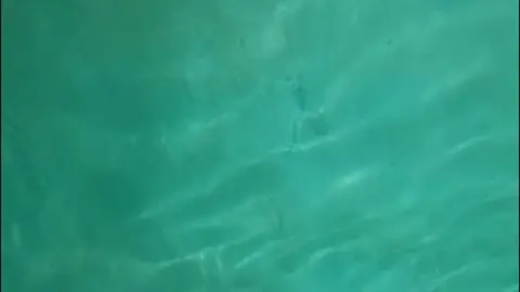 stellaaeternum stellaaeternum 2022 04 14 2425181408