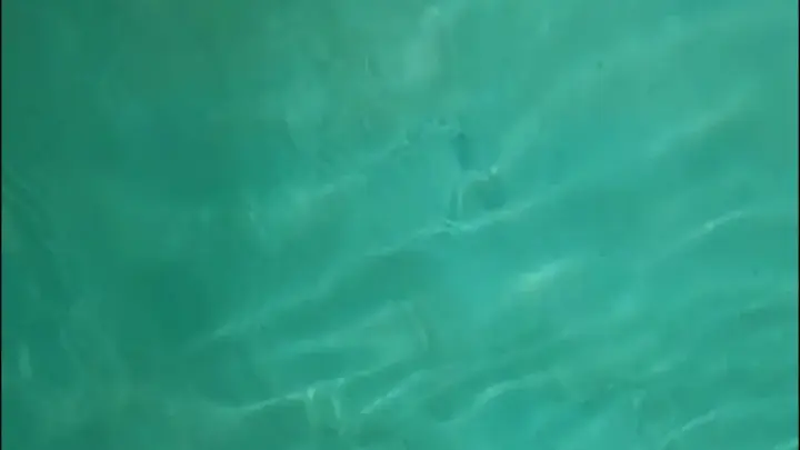 stellaaeternum stellaaeternum 2022 04 14 2425181408