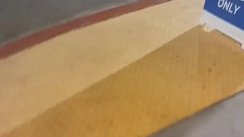 stellaaeternum stellaaeternum 2025 01 11 3642956530