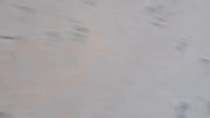 stellaaeternum stellaaeternum 2025 04 08 3778353000