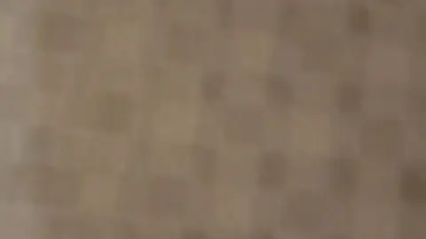 stellaaeternum stellaaeternum 2023 04 03 2826490820