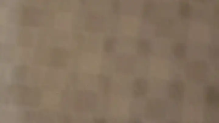 stellaaeternum stellaaeternum 2023 04 03 2826490820