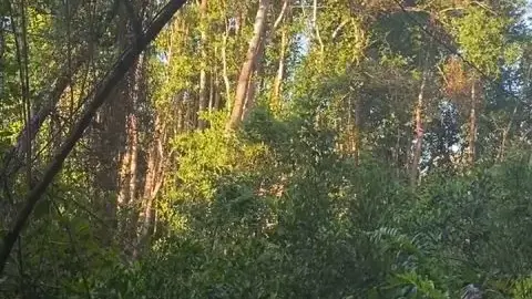 missintights missintights 2022 03 17 2395453478