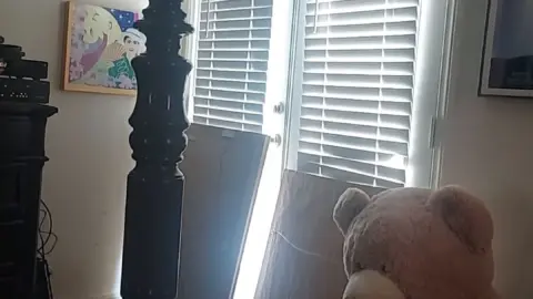 stellaaeternum stellaaeternum 2022 09 29 2620771339