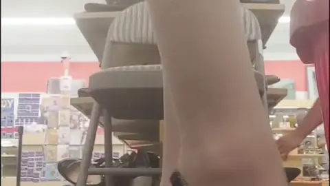 stellaaeternum stellaaeternum 2021 10 14 2247132843