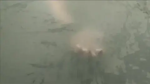 Gwen Media gwen media sisters