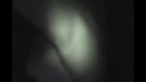 XXX vl 480P 256 0k 18025001