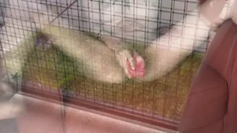 sagexdiogo OnlyFans – SagexDiogo – Look Who I Found Being A Naughty Gi