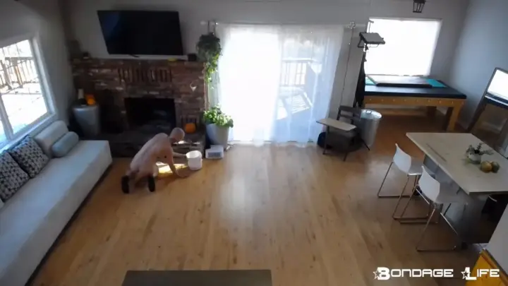 Bondagelife 1 floor clean 0001