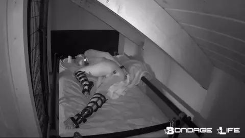 Bondagelife 1 livecam 02-12-2019 afternoon rest